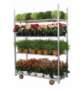plant Flower trolley Cart
